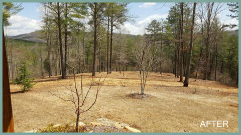 Area Cleared and Graded After Georgia Earth Services